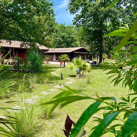 La Balinaise * Hourtin